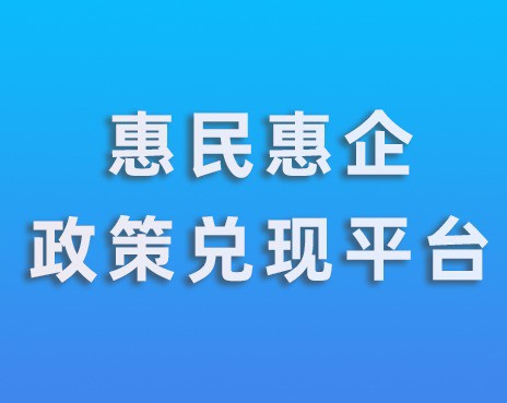 惠民惠企政策兑现平台